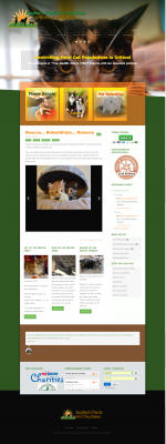 Sunshine's Friends Cat and Dog Rescue SunshineFriends