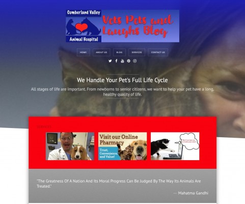 VetsPetsLaughs-final